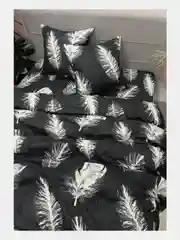 Постельное белье, 1,5 сп, 2 спальное, евро, полисатин, ivSubelIa "Перья на черном", 70 x 70