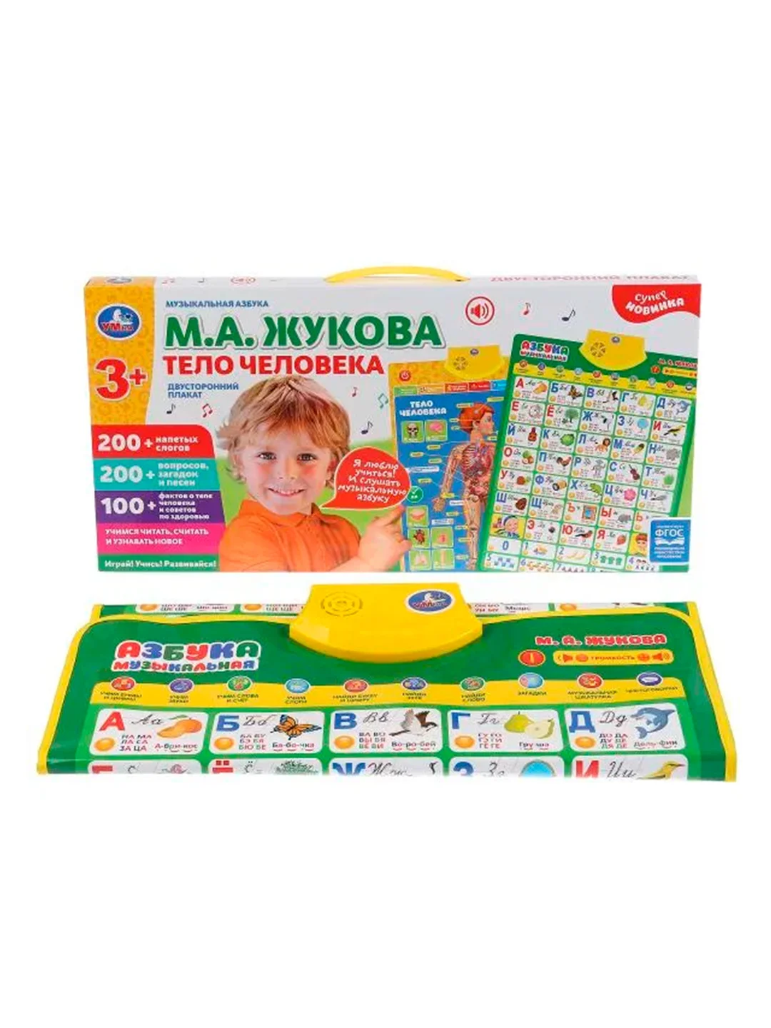 Обучающий плакат УМКА, "М.А. Жукова. Музыкальная азбука. Тело человека", 44 х 22 х 3 см