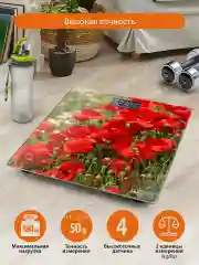 Зеленый home ELEMENT HE-SC906 красные маки весы напольные сенсор