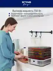 Серый электросушилка STINGRAY ST-FD700B 9 поддонов/ 4 для сушки,2 для ягод, 2 для пастилы/