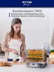 Белый электросушилка STINGRAY ST-FD700C 10 поддонов/ белый жемчуг