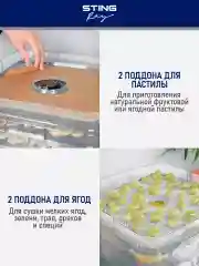 Белый электросушилка STINGRAY ST-FD700C 10 поддонов/ белый жемчуг