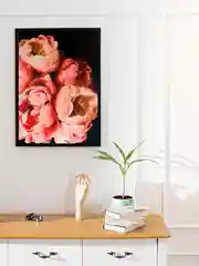 Картина по номерам на холсте с подрамником 40*50 "Пионы"