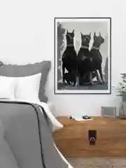 Картина по номерам на холсте с подрамником, 40*50, "Три добермана"