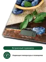 Синий весы для кухни со встроенным термометром MARTA MT-1634 спелая слива