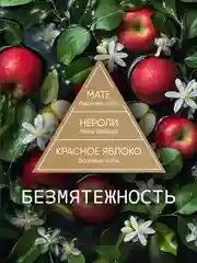 Диффузор для дома ароматизатор ароматический 70 мл