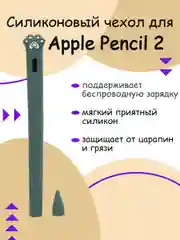 Бирюзовый чехол для стилуса Apple Pencil 2
