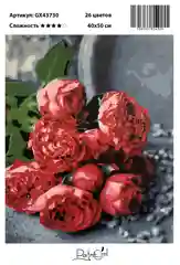 Картина по номерам на холсте с подрамником "Розовый букет пионов", 40*50
