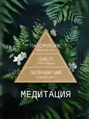 Диффузор для дома ароматизатор ароматический 70 мл