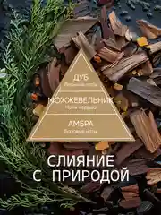 Диффузор для дома ароматизатор ароматический 70 мл 2 шт