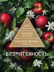 Диффузор для дома ароматизатор ароматический 70 мл 2 шт