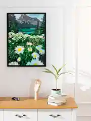 Картина по номерам на холсте с подрамником 40*50, "Альпийская ромашка"
