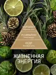 Диффузор для дома ароматизатор ароматический 70 мл 2 шт