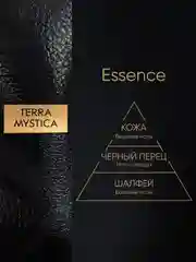 Диффузор для дома ароматизатор ароматический 100 мл