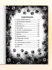 Бежевый книга детская проза "Кот, который нам нужен" Е. Русинова. 13х18 см 96 стр. Проф-Пресс