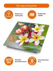 Желтый весы напольные HOME ELEMENT HE-SC904 электронные/ плюмерия