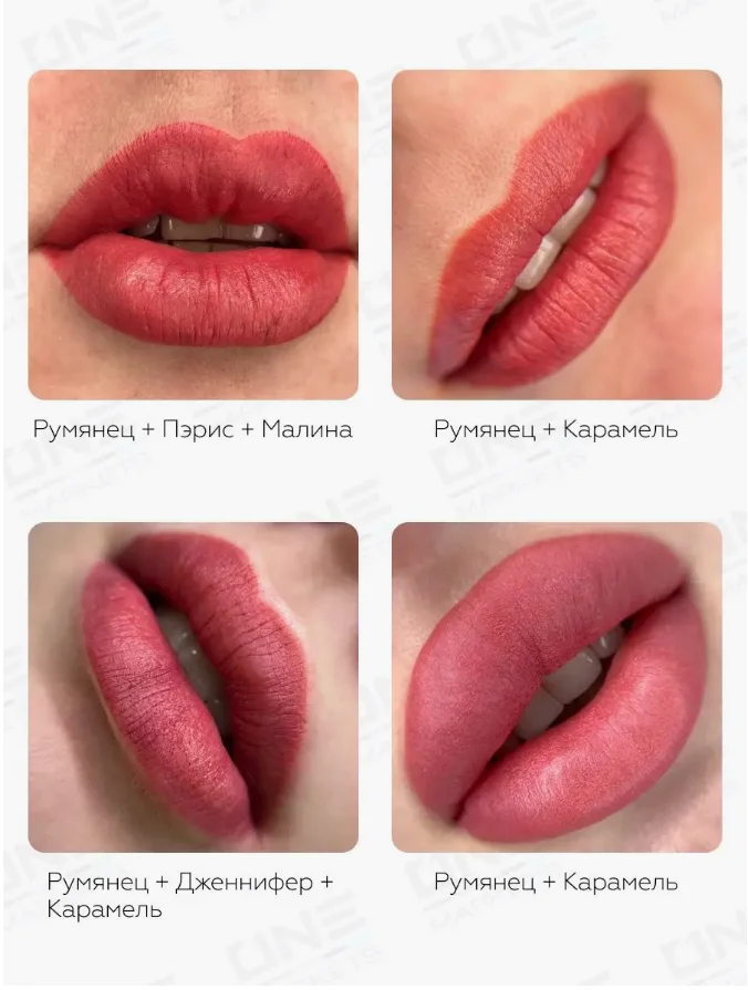 FACE Пигмент для татуажа губ, 6мл