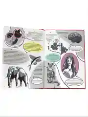Книга детская энциклопедия. 365 фактов обо всём на свете, 48 стр. Проф-Пресс