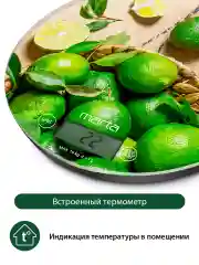 Зеленый весы для кухни со встроенным термометром MARTA MT-1635 цитрусовый фреш