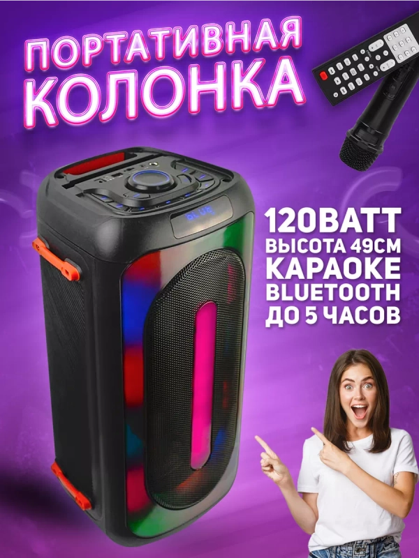 Колонка Bluetooth 619 2 х 6.5, 3600mAh + беспр.микрофон (Bluetooth/USB/TF/AUX/FM)