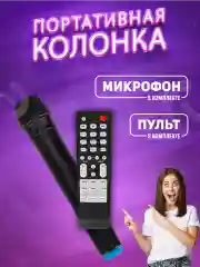 Колонка Bluetooth 619 2 х 6.5, 3600mAh + беспр.микрофон (Bluetooth/USB/TF/AUX/FM)
