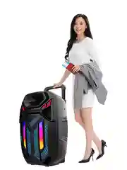 Тёмно-серый колонка Bluetooth с LED-подсветкой ZQS 40Вт (USB/SD/AUX/FM) колёсики/ручка + микрофон/пульт