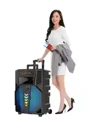Серый колонка Bluetooth с LED-подсветкой ZQS 40Вт (USB/SD/AUX/FM) колёсики/ручка + микрофон/пульт