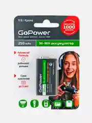 Черный аккумулятор бытовой GoPower HR6 AA BL2 NI-MH 2850mAh (2/20/240)