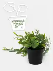 Мятный искусственное растение эвкалипт в горшке вьющееся декоративное лиана