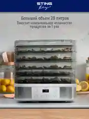 Серебряный электросушилка STINGRAY ST-FD700A 8 поддонов: белый жемчуг