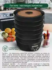 Черный сушилка для овощей и фруктов, пастилы MARTA MT-FD1888E, 12 поддонов, диаметр 32см