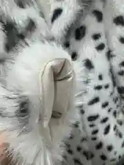 Разноцветный пальто, шуба женская оверсайз