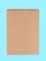 Бронзовый блокнот/скетчбук/ежедневник/записная книжка/смешбук/кешбук с котиками, котоблокнот