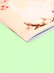 Манго блокнот/скетчбук/ежедневник/записная книжка/смешбук/кешбук с котиками, котоблокнот