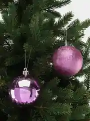 Кораллово-розовый набор ёлочных игрушек шаров украшения 12 шт 6см