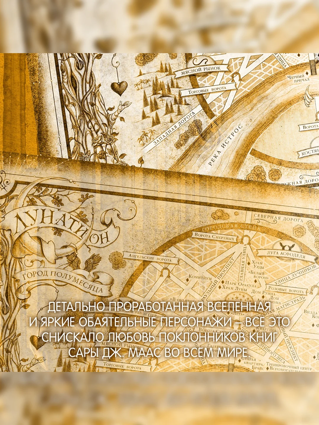 Книга Азбука Город Полумесяца. Дом Пламени и Тени Маас С.Дж.