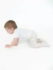 Слоновая кость ползунки, Утенок
