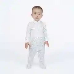 Серый ползунки, Утенок