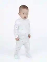 Серый ползунки, Утенок