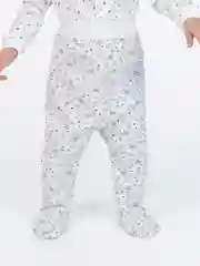 Серый ползунки, Утенок