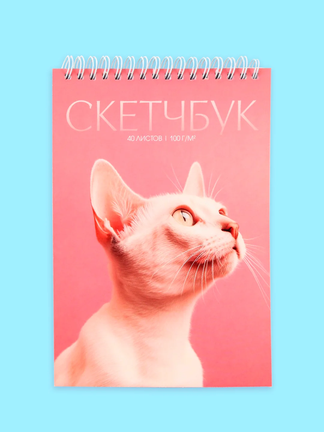 Серый блокнот/скетчбук/ежедневник/записная книжка/смешбук/кешбук с котиками, котоблокнот