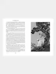 Книга Иностранка Развеянные чары Ло Гуань-чжун , Фэн Мэнлун