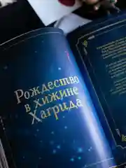 Волшебные блюда и выпечка с Гарри Поттером. Праздничная магия