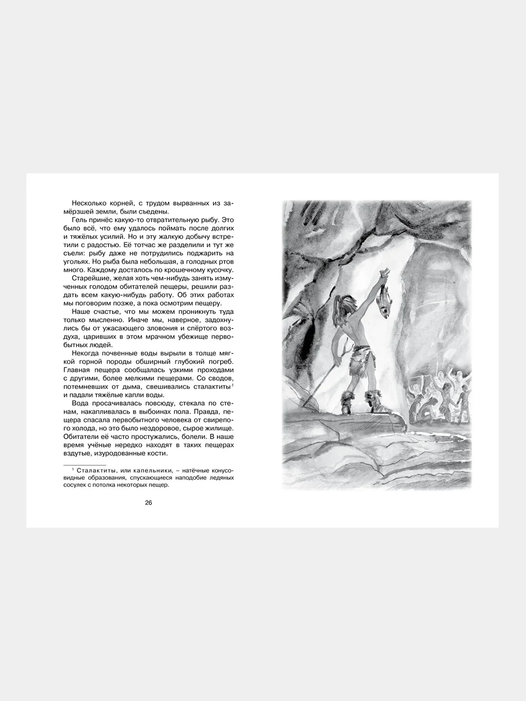 Книга Махаон Приключения доисторического мальчика Д’Эрвильи Э.