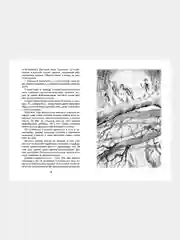 Книга Махаон Приключения доисторического мальчика Д’Эрвильи Э.