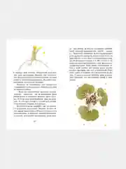 Книга Махаон Маленький принц Сент-Экзюпери А. де