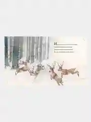 Книга Махаон Рождественская ночь Мур К.К.