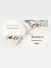 Книга Махаон Рождественская ночь Мур К.К.