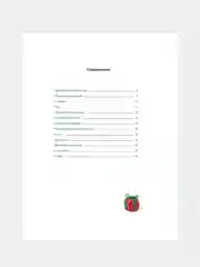 Книга Махаон Секреты пластилина. Новый год Орен Р.