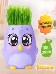Аметистовый набор для опытов "Выращиваем травку"